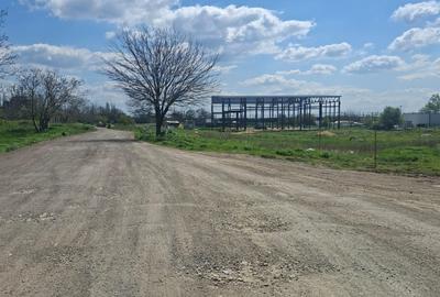 Teren Construcții intravilan de 5000 mp, în - 6