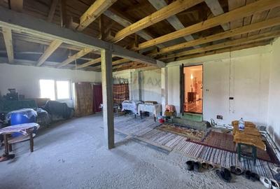 Casa / Vila cu teren Calineii Noi - 14