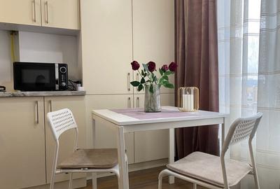 Apartament cu 1 camera strada Bistritei - 6