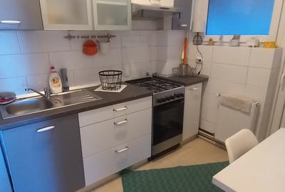 Dacia (Piata Spaniei)-Parcul Ioanid,3 camere  amenajat ,mobilat si utilat - 10