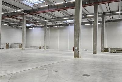 Spatiu Industrial - 1500 mp - Logistica - Productie - Depozitare - 7