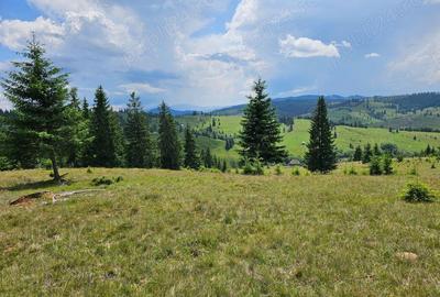 Proprietate de vanzare 92.554.mp ( 9.25 ha) in Bucovina zona Breaza - 6