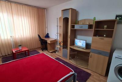 Garsoniera Spatioasa zona Blascovici - 10