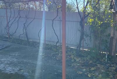 Casa de vanzare in Burila Mare - 4