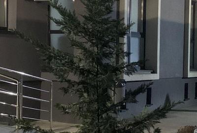 Garsonieră decomandată în Găvana - 6