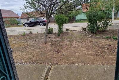 Casă cu Teren 4657 Mp în Șoșdea - 1