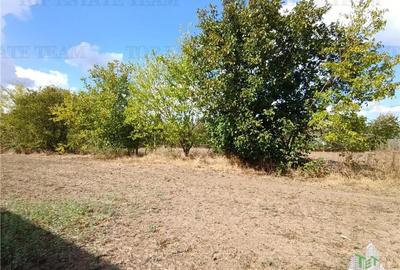 Teren intravilan, stradal in Petrachioaia IF, cu o SU de 1235 mp si deschidere - 1