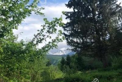 Teren intravilan in Avrig zona turistica Valea Avrigului 2000 mp - 3