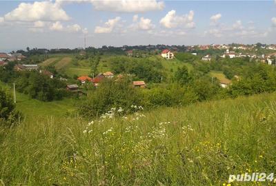 Teren de 3739 mp, în Feleacu - 2