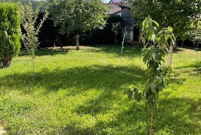 Duplex cu 4 camere cu Teren 600 Mp în Gulia - 10