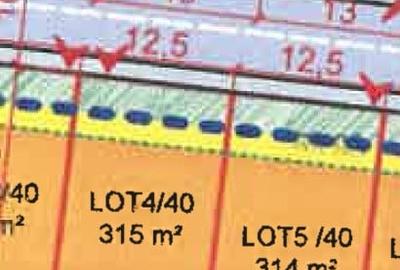 TEREN DE VANZARE | VALU LUI TRAIAN | 315 MP - 1