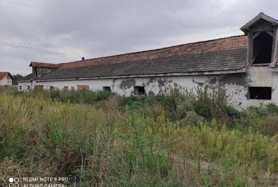 Teren pe fosta ferma a fabricii de zahar Bod - 3