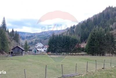 Spațiu comercial, în Sătic - 11