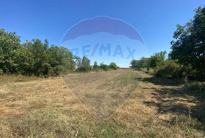 Teren de vanzare, 25km de Bucure?ti, Sine?ti, loc. Lilieci - 2