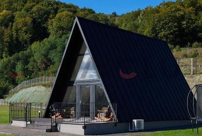 Casă cu 6 camere cu Teren 37000 Mp în Moldovenești - 18