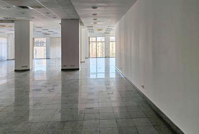 Birou spatios in Centrul Civic - 2