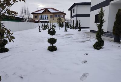 FARA COMISIOANE in Bolintin casa cu 5 camere P+1  asfalt curent 380v canal apa - 21