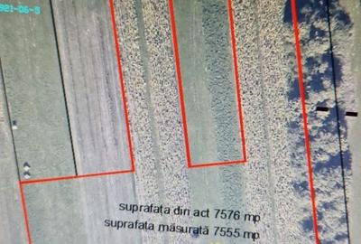 Spațiu comercial, în Mocira - 4