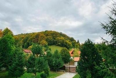 Hotel/Pensiune, de 500 mp, în Moroieni - 2