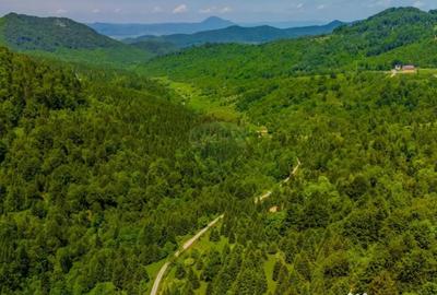 Teren de 14400 mp, în Cheile Râșnoavei - 9