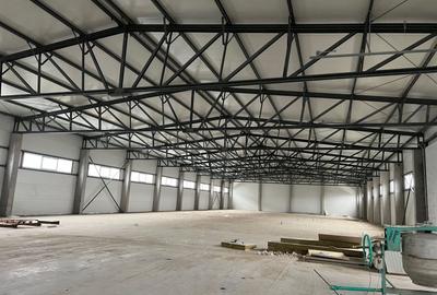 Spatiu depozitare si productie Chitila - 6