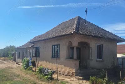 Casă cu 3 camere cu Teren 1100 Mp în Seaca de Câmp - 8