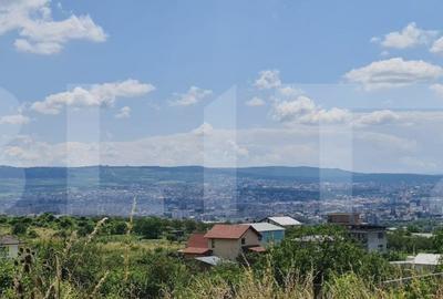 Teren, 1000 mp, Iris - 2
