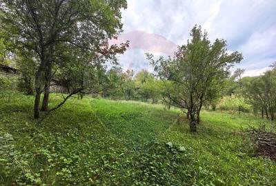 Casa traditionala De Vanzare cu 5 Hectare de teren - 11