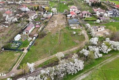 Spațiu comercial, în Snagov - 2