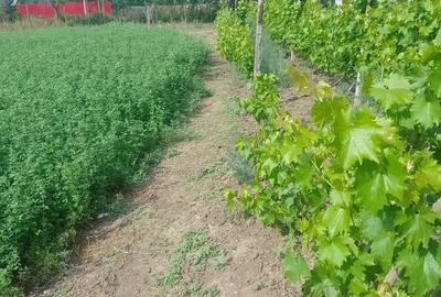 Casă cu 6 camere în Amara - 1