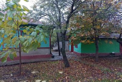 Casă cu Teren 1200 Mp în Scânteia - 3