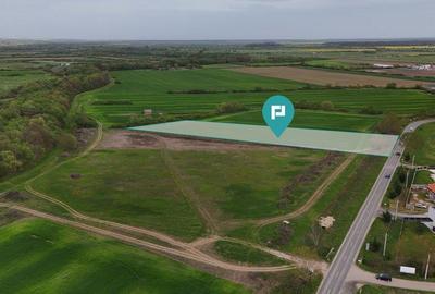 Teren intravilan 5800 mp in Remetea Mare - 3