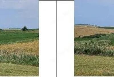 Teren Extravilan Aroneanu, ID: R2577828 - 9