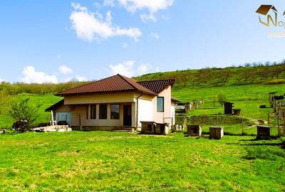 Casă individuală cu 4 camere cu Teren 630 Mp în Apahida - 4