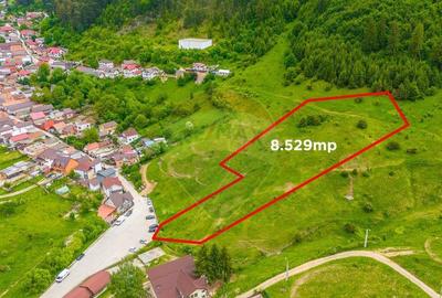 COMISION 0% Teren de 8529 mp/Bunloc/Intravilan - 4