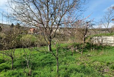 Casa de vanzare in sat Padureni, com. Tritenii de Jos - 3