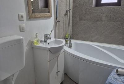 Casă cu 3 camere cu Teren 2800 Mp în Sânmihaiu Almașului - 6