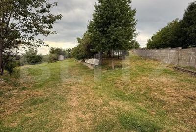 Casa etaj, 140 mp utili, 4800 mp teren, Adancata - 9