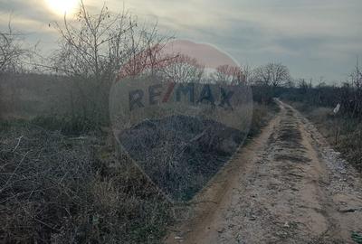 Teren 2,301mp Carcea / Aleea Tarlaua 37 Parcela 63 Teren 2,301mp Carcea / Aleea Tarlaua 37 Parcela 63 - 7