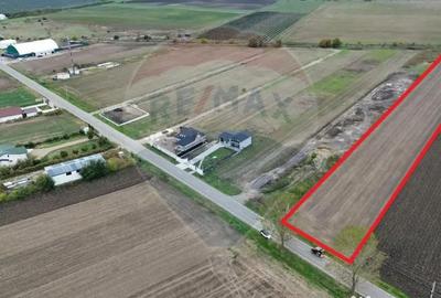 Teren de 10869 mp, în Mirceștii Vechi - 1