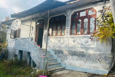 Casă cu 3 camere cu Teren 2872 Mp în Slătioara - 2