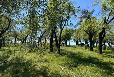 Spațiu comercial, în Orșova - 1