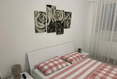 Apartament cu 2 camere decomandat în Banu Manta - 5