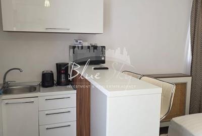 Garsoniera de inchiriat in Complex Summerland - 9