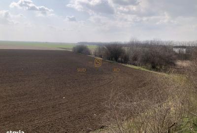 Spațiu comercial, de 240 mp, în Frumușani - 8