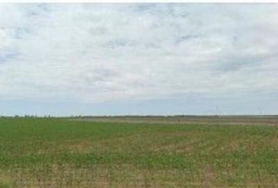 Teren extravilan Pogoanele, ID: R2586845 - 4