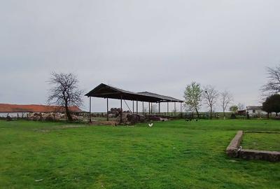 Teren de 100800 mp, în Sud - 4