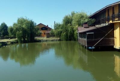 Vand casa pensiune cu helesteu aproape de Timisoara-locatie excelenta! - 3