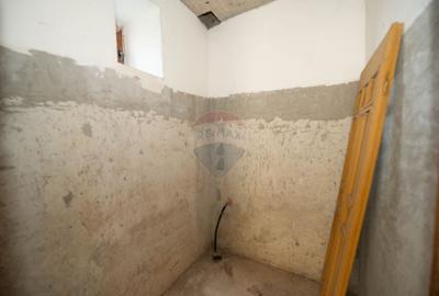 Casă cu 20 camere cu Teren 1395 Mp în Manolache - 32