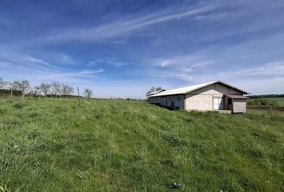 Casă cu 2 camere în Vadu Moldovei - 13